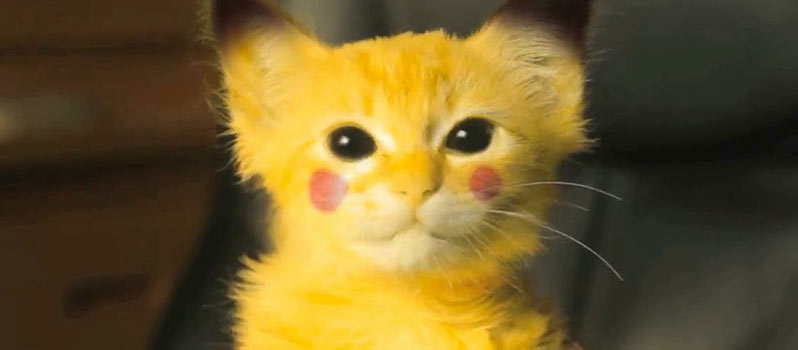 Pikachu kitty packs quite a punch 1