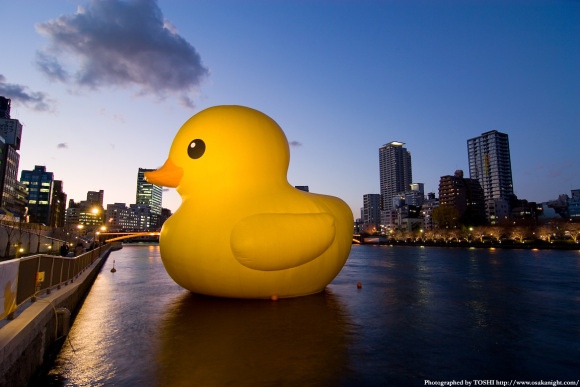 It's back! Mysterious gigantic rubber duck returns to Osaka 1